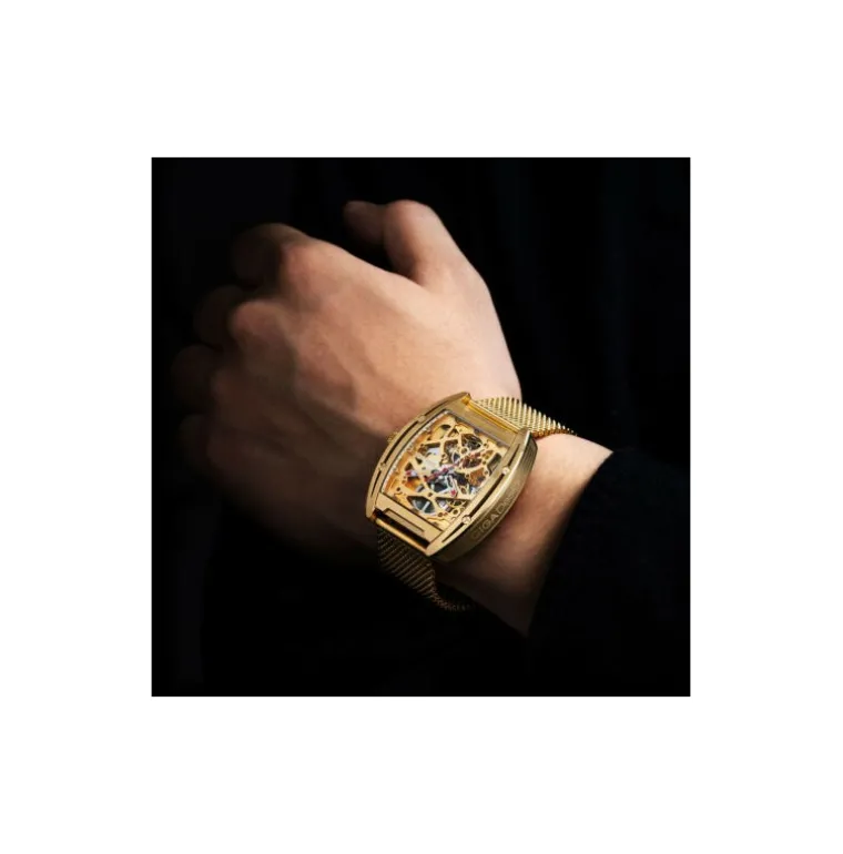 z_series_automatic_gold_e_7.webp Z Series Automatic Gold Edition
